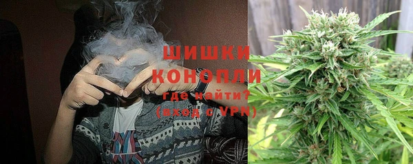 шишки Белоозёрский