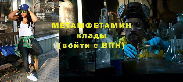 шишки Белоозёрский