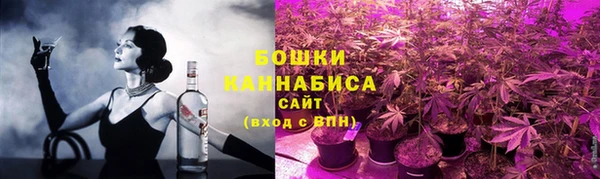 шишки Белоозёрский
